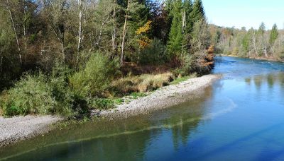 eawag-Wasserkraft-Biodiversität